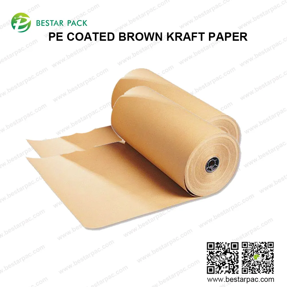 What is a PE coated paper?